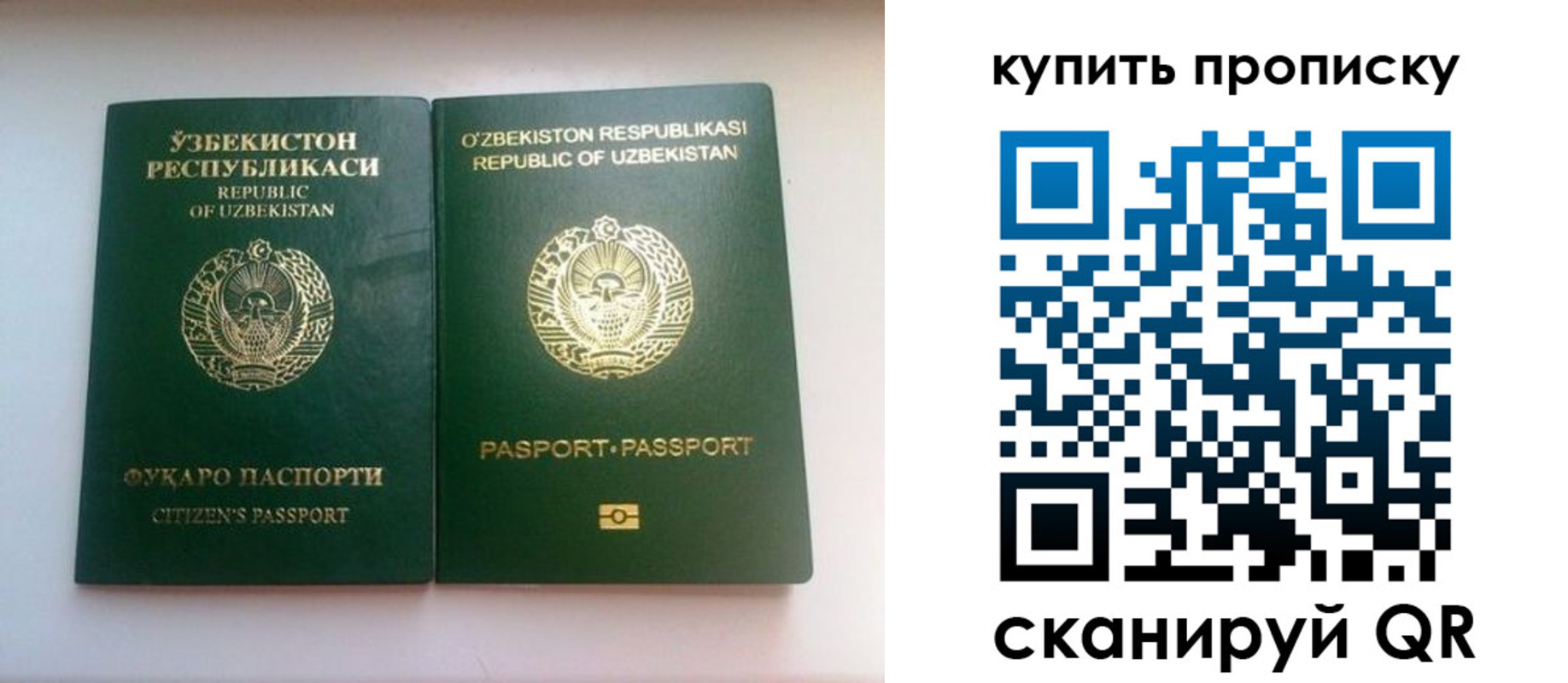временная прописка в Павловском Посаде